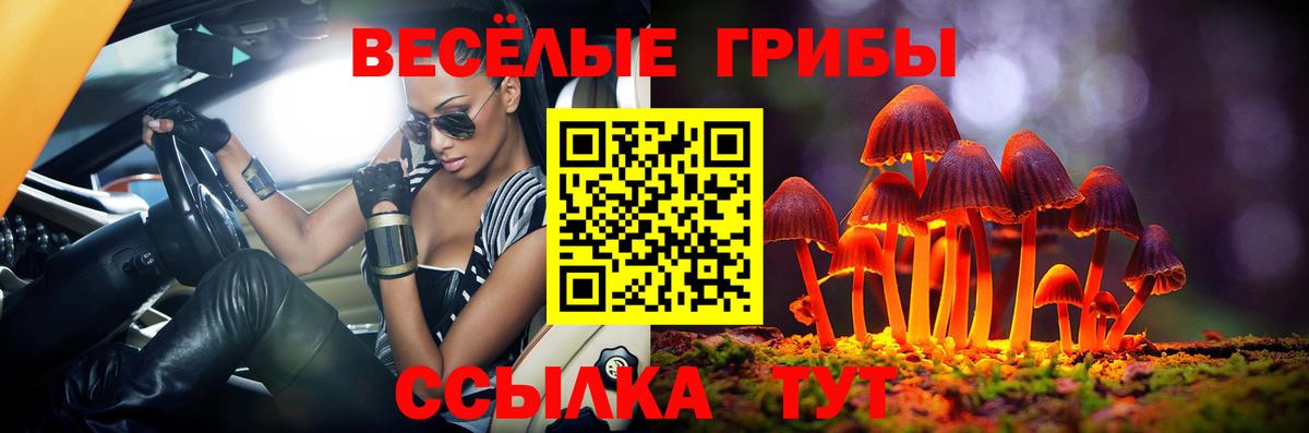 Псилоцибиновые грибы Cubensis  Вход с VPN  Галлюциногенные грибы мухоморы  Чистополь 